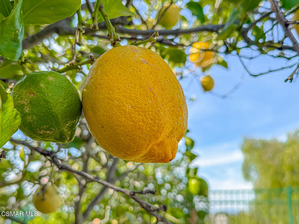 260 Sycamore Ridge Street Simi Valley, CA 93065 - Photo 54 of 58
