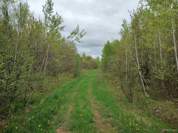$100,000 | Tbd Tbd Victoria/norwich Cut Across Road, Rockland, MI 49960