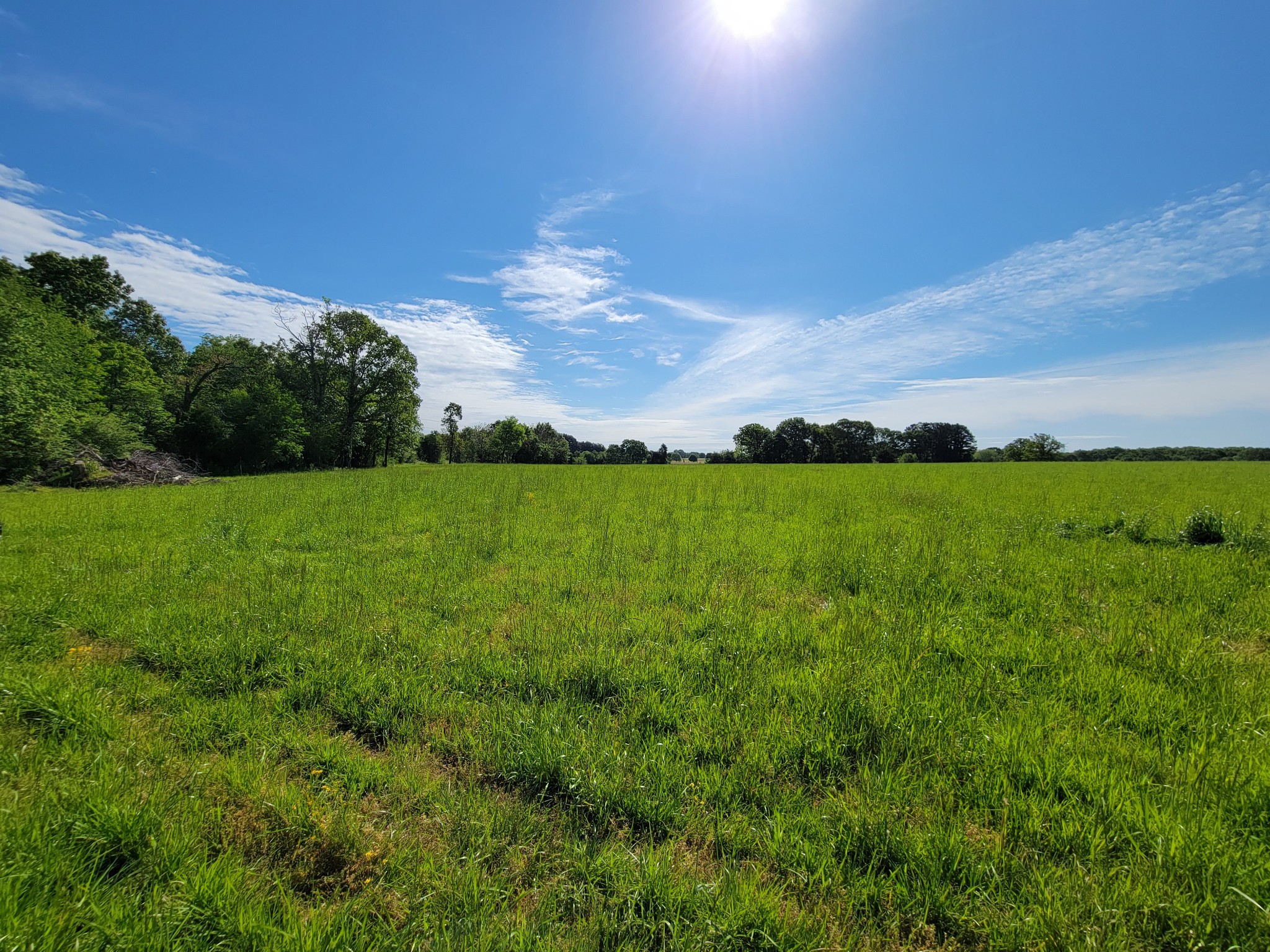 0 Powell Road Tullahoma, TN 37388 - Photo 1 of 22 Gallery Image 1
