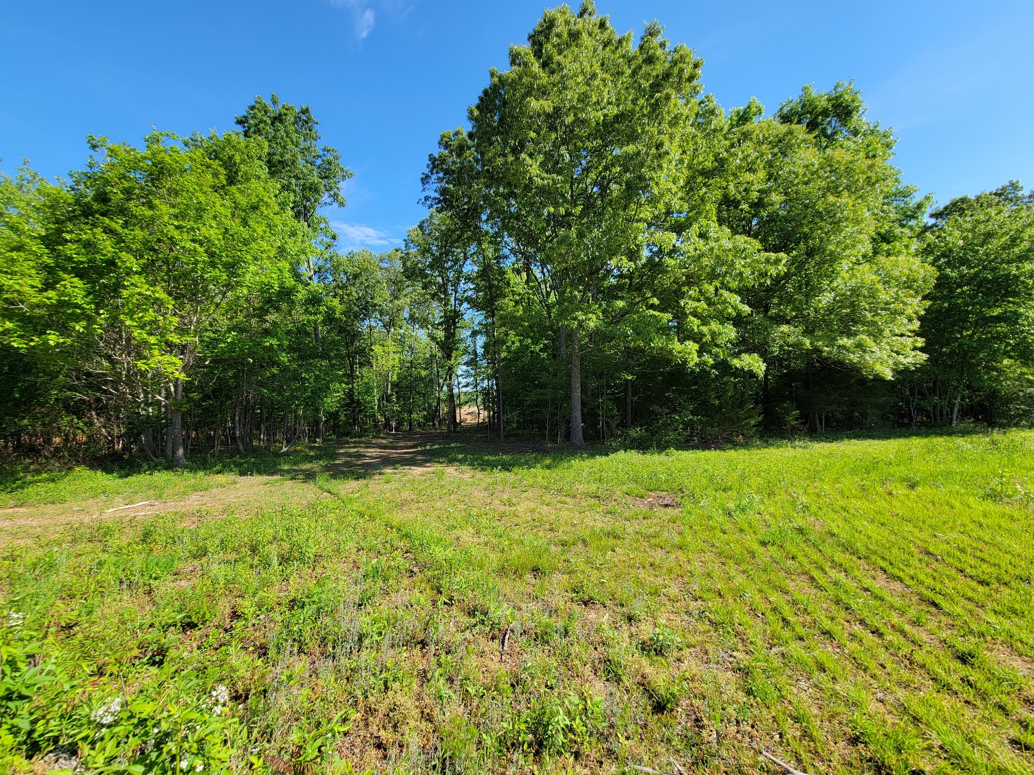0 Powell Road Tullahoma, TN 37388 - Photo 11 of 22 Gallery Image 11