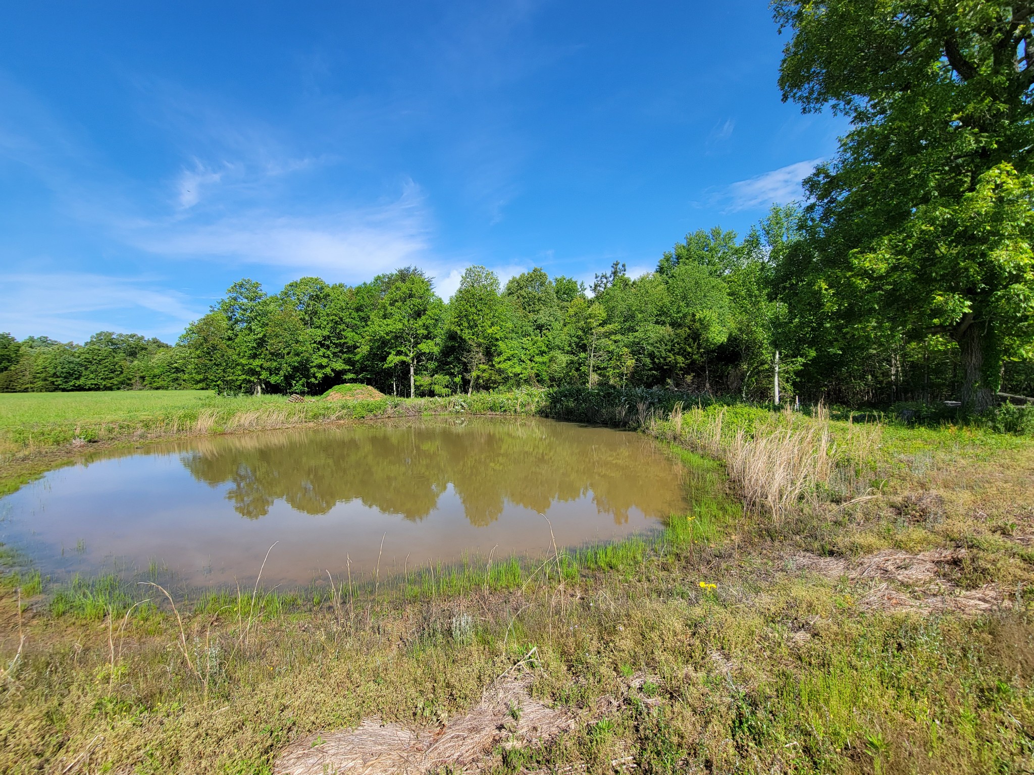 0 Powell Road Tullahoma, TN 37388 - Photo 12 of 22 Gallery Image 12