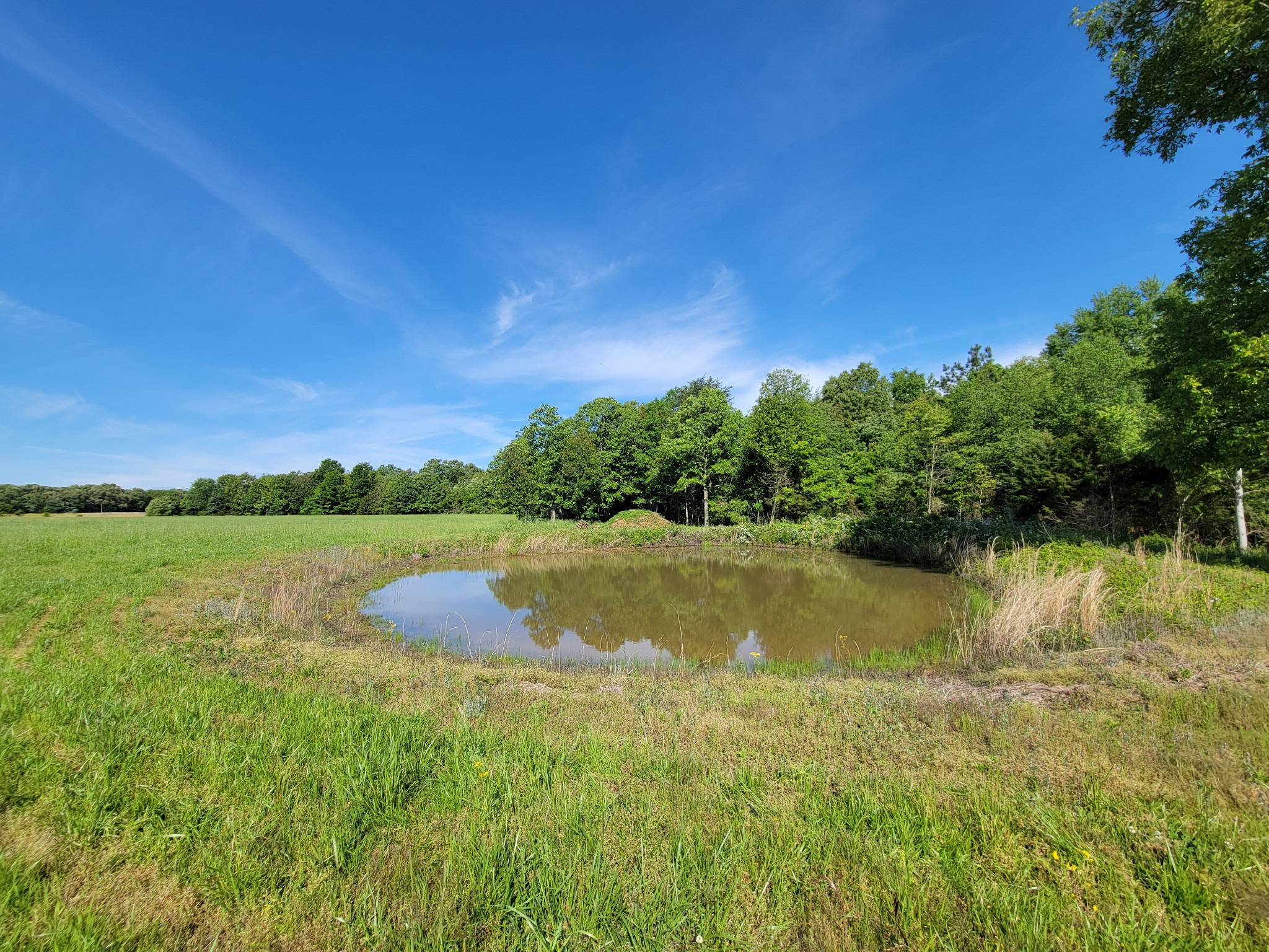 0 Powell Road Tullahoma, TN 37388 - Photo 13 of 22 Gallery Image 13