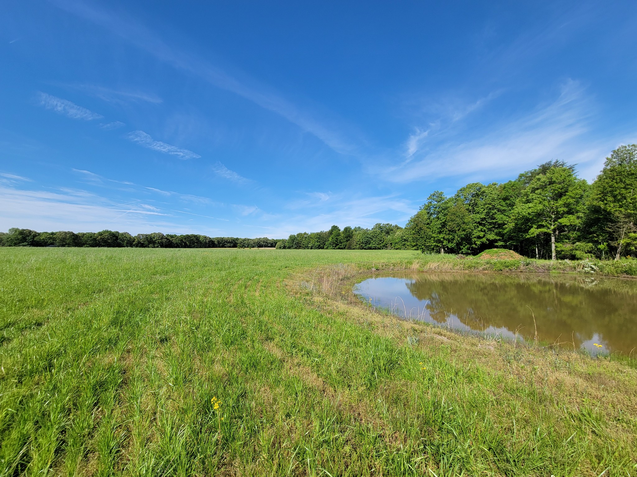 0 Powell Road Tullahoma, TN 37388 - Photo 14 of 22 Gallery Image 14