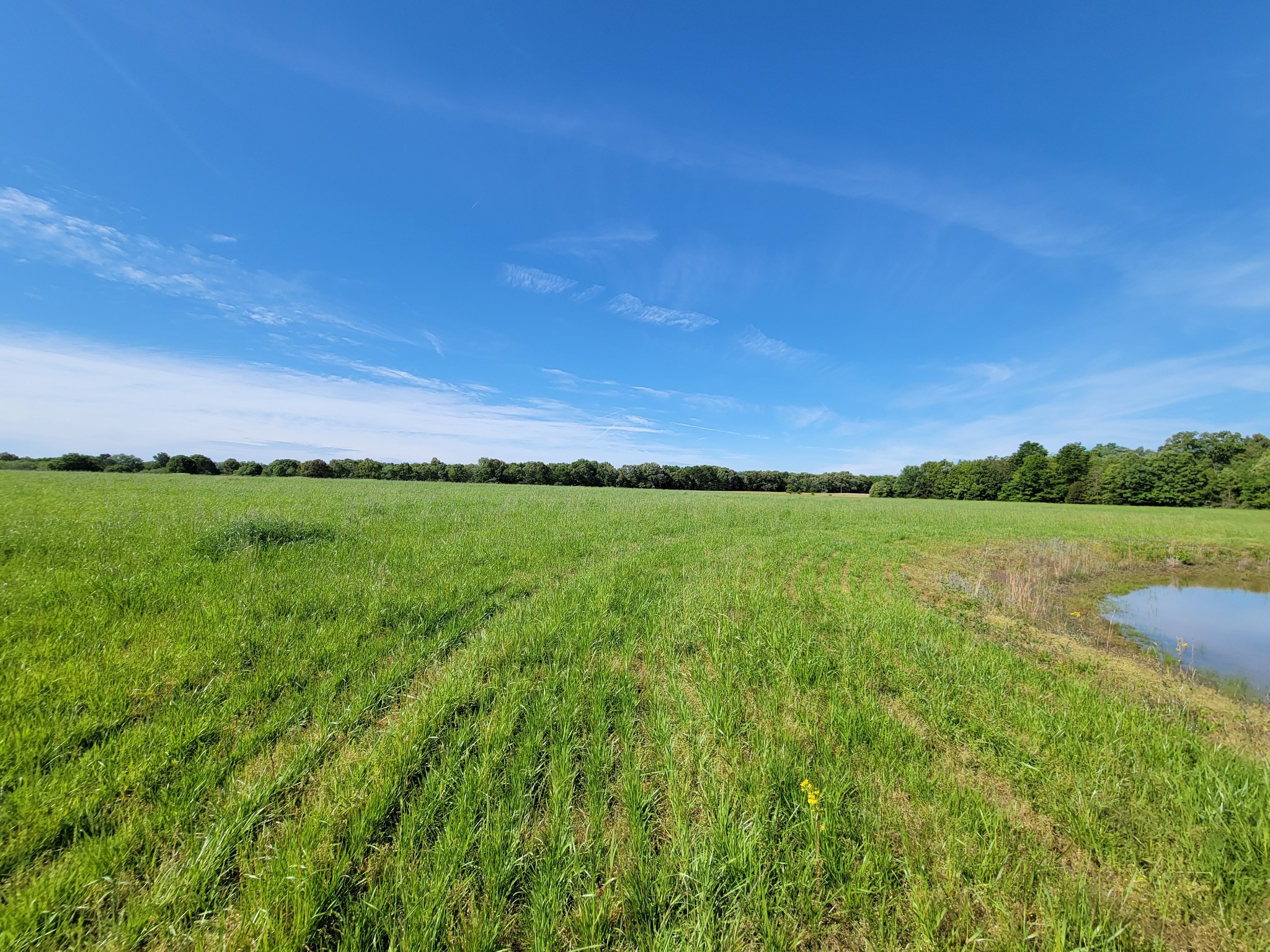 0 Powell Road Tullahoma, TN 37388 - Photo 15 of 22 Gallery Image 15