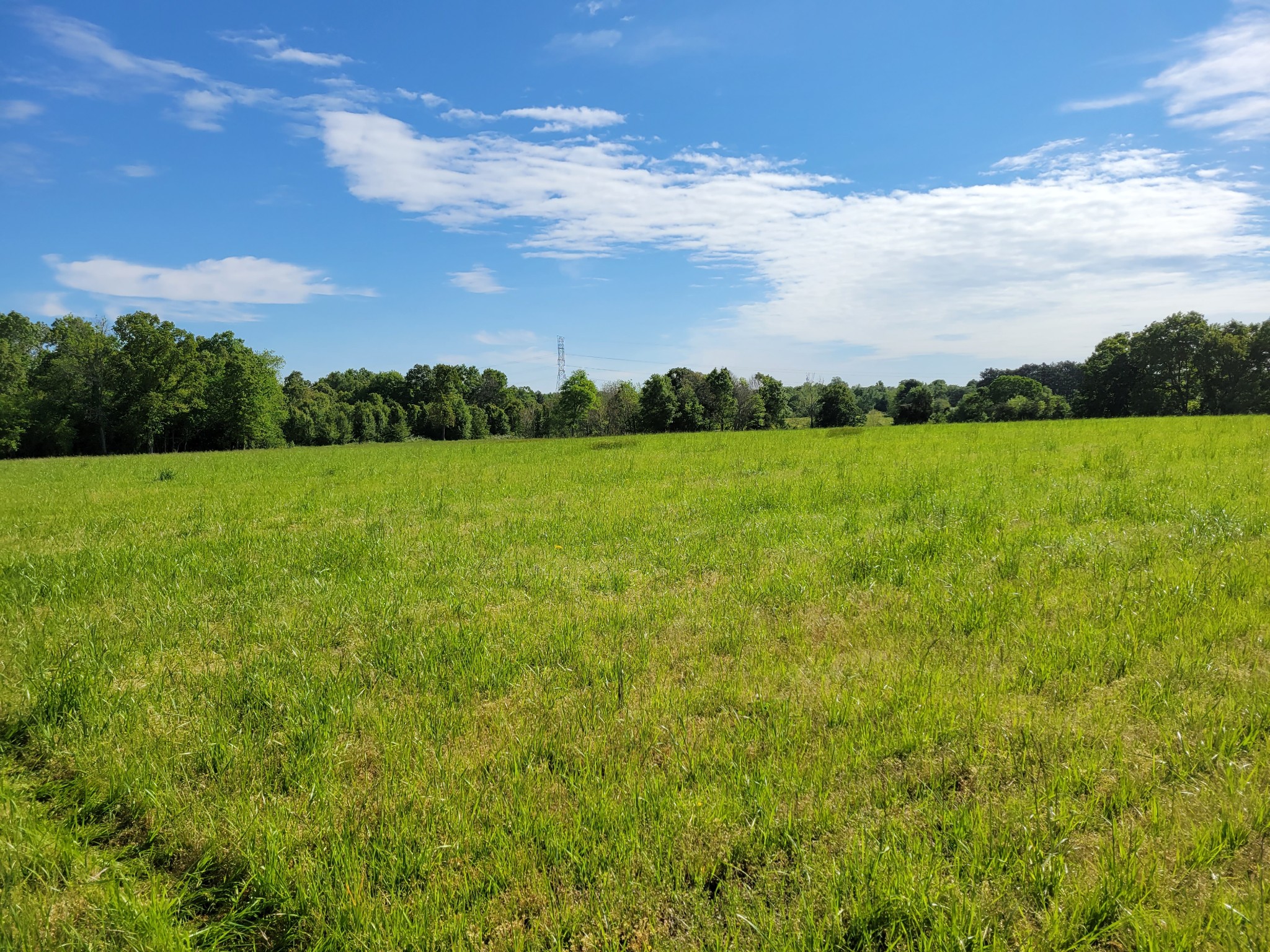 0 Powell Road Tullahoma, TN 37388 - Photo 20 of 22 Gallery Image 20