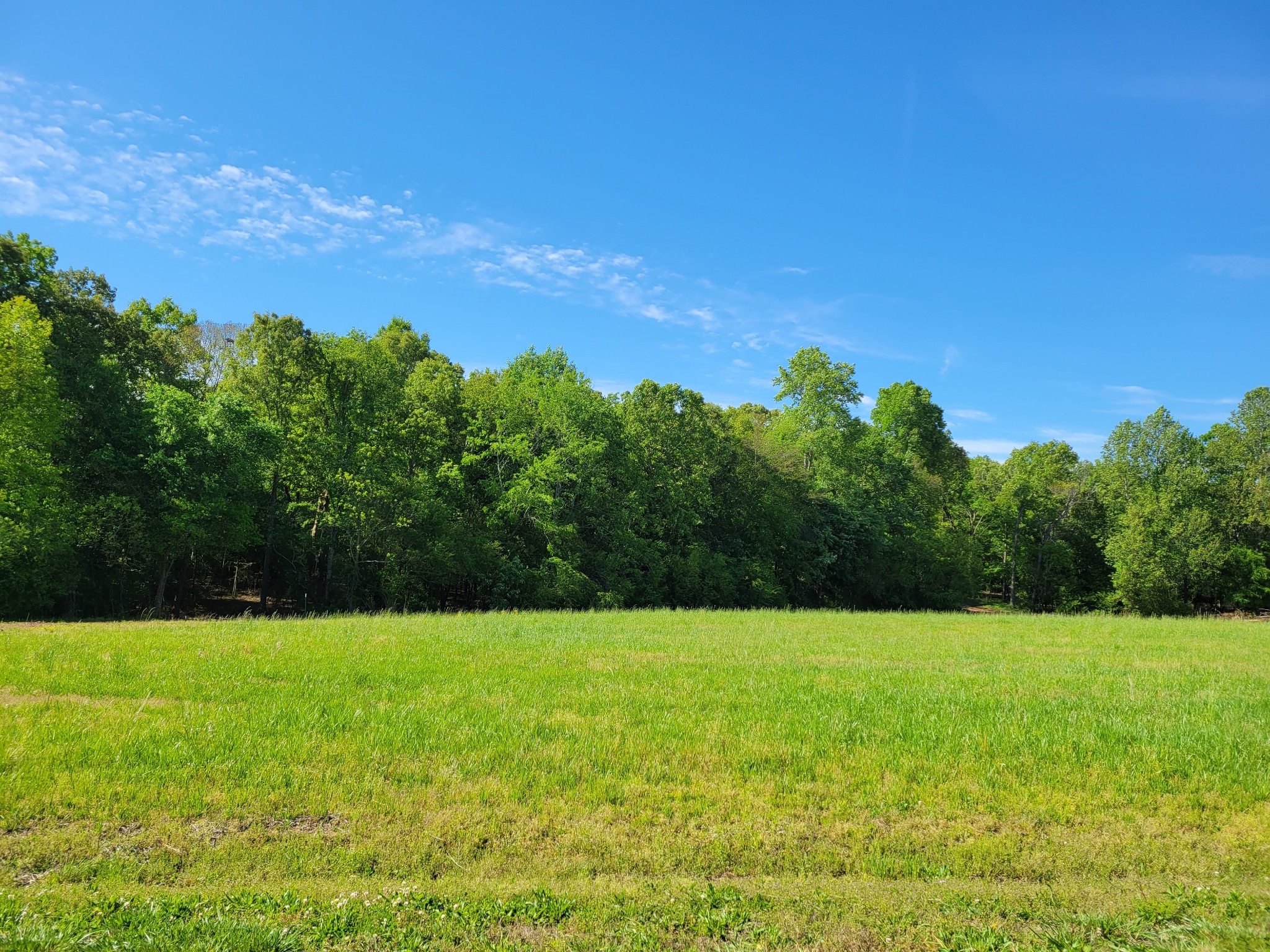 0 Powell Road Tullahoma, TN 37388 - Photo 3 of 22 Gallery Image 3