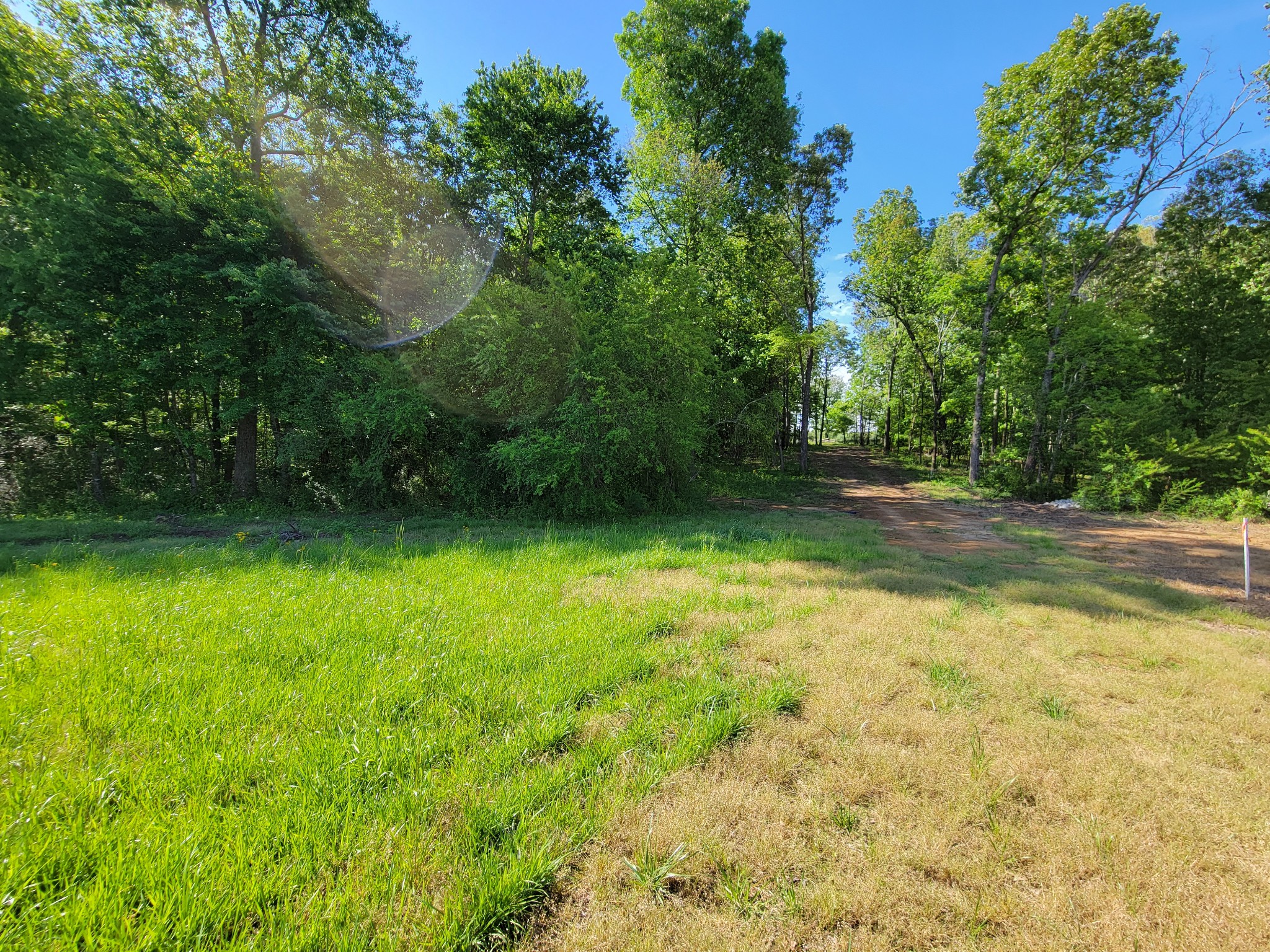 0 Powell Road Tullahoma, TN 37388 - Photo 6 of 22 Gallery Image 6