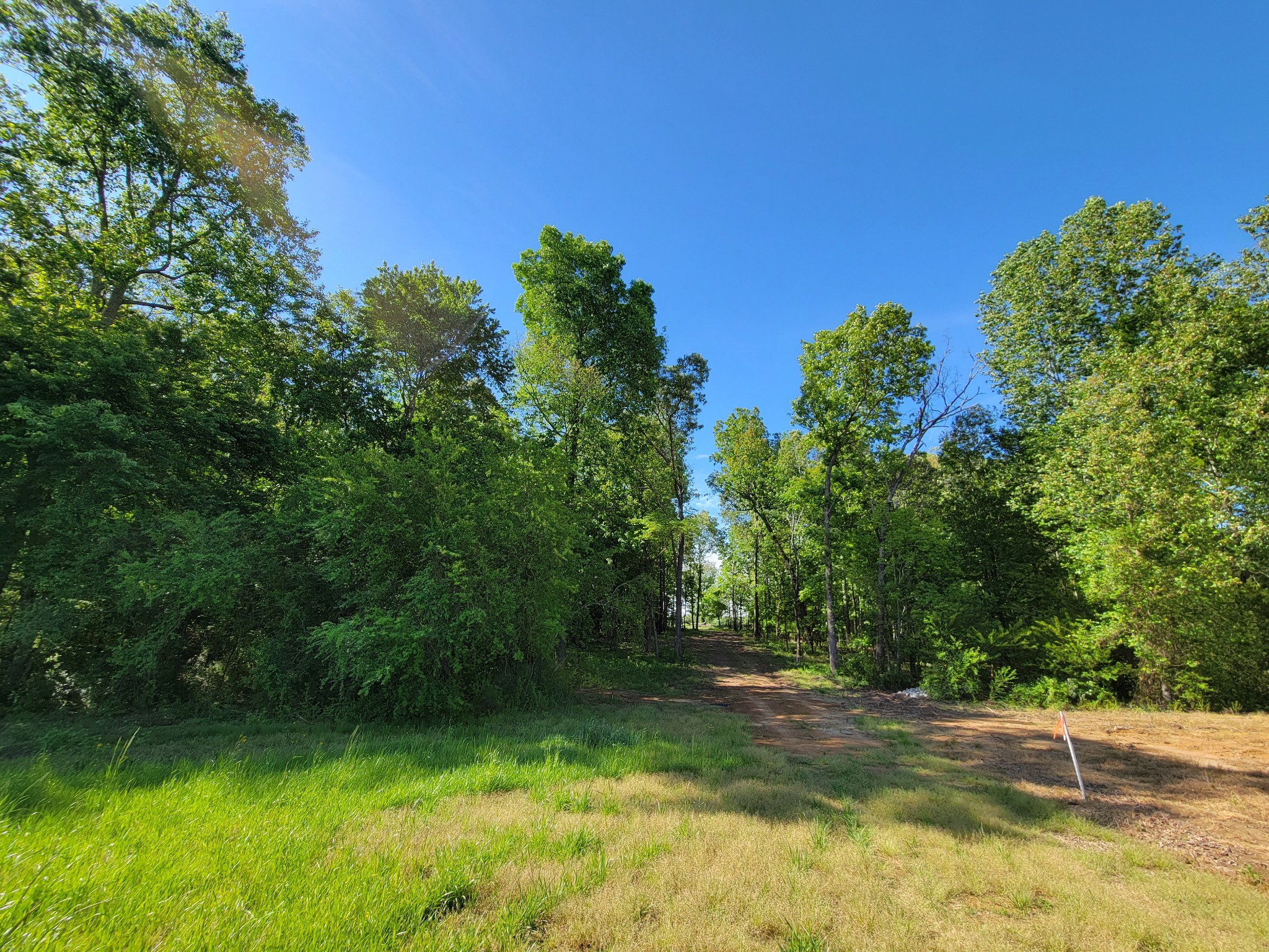 0 Powell Road Tullahoma, TN 37388 - Photo 8 of 22 Gallery Image 8