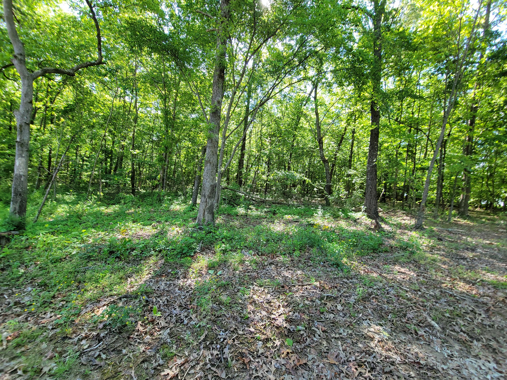0 Powell Road Tullahoma, TN 37388 - Photo 9 of 22 Gallery Image 9