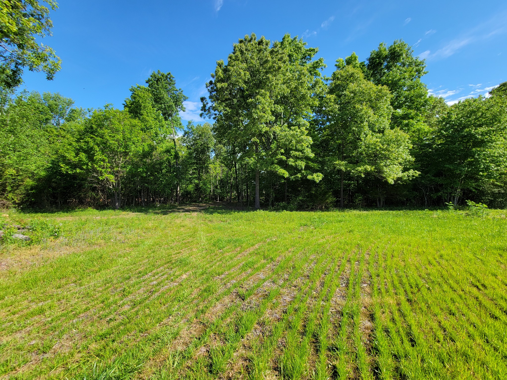0 Powell Road Tullahoma, TN 37388 - Photo 10 of 22 Gallery Image 10