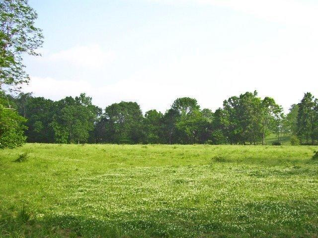 501 Gunnell Road Georgetown, KY 40324 - Photo 8 of 14 Photo 8