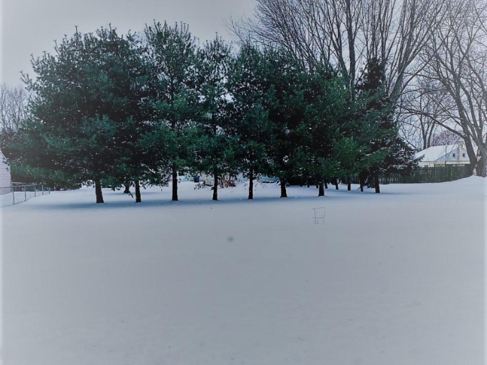 671 Sheridan Road St. Joseph, MI 49085 - Photo 1 of 1 Sheridan