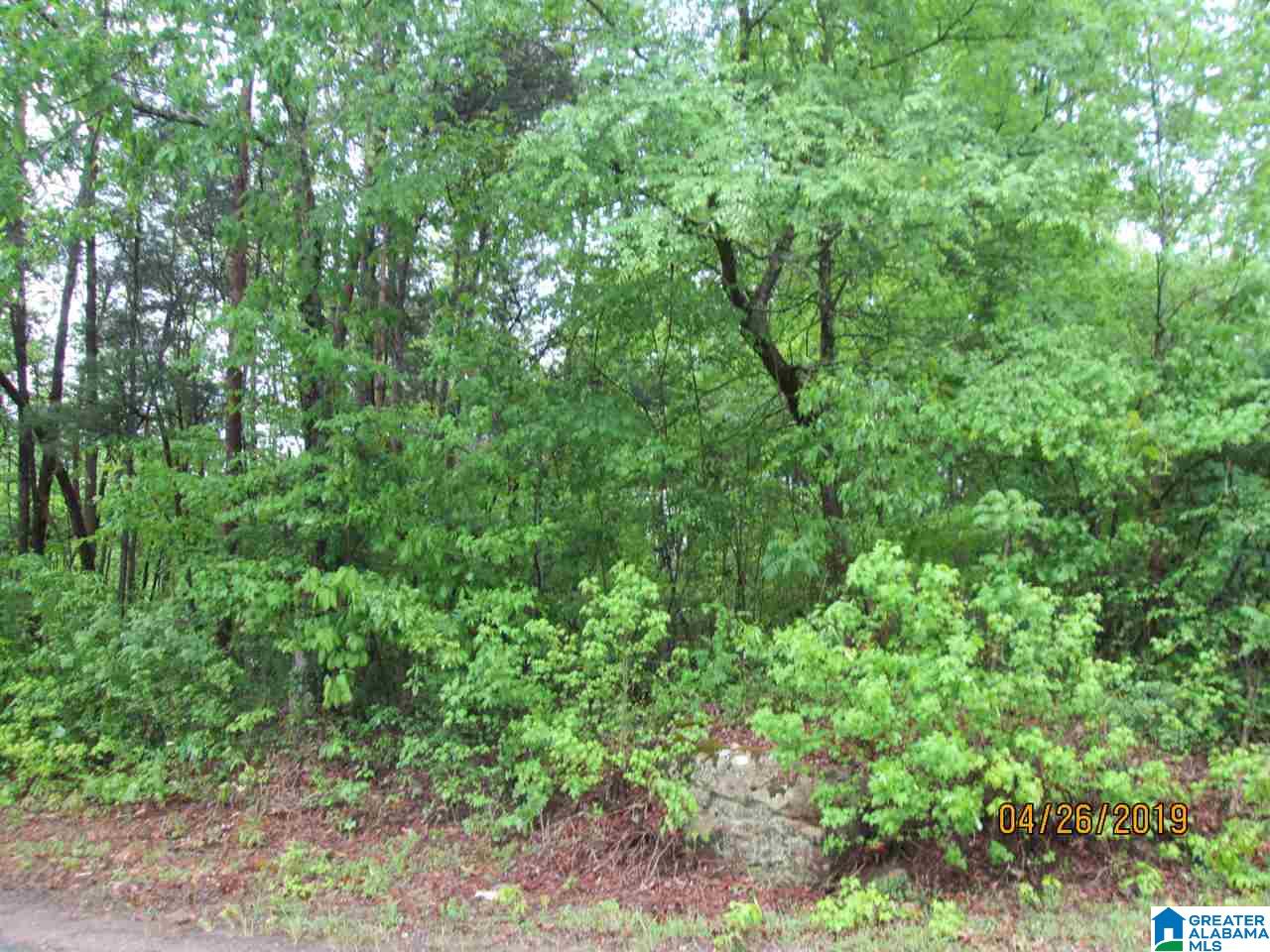 190 Prophecy Lane, Unit 1 Springville, AL 35146 - Photo 10 of 10 Gallery Image 10