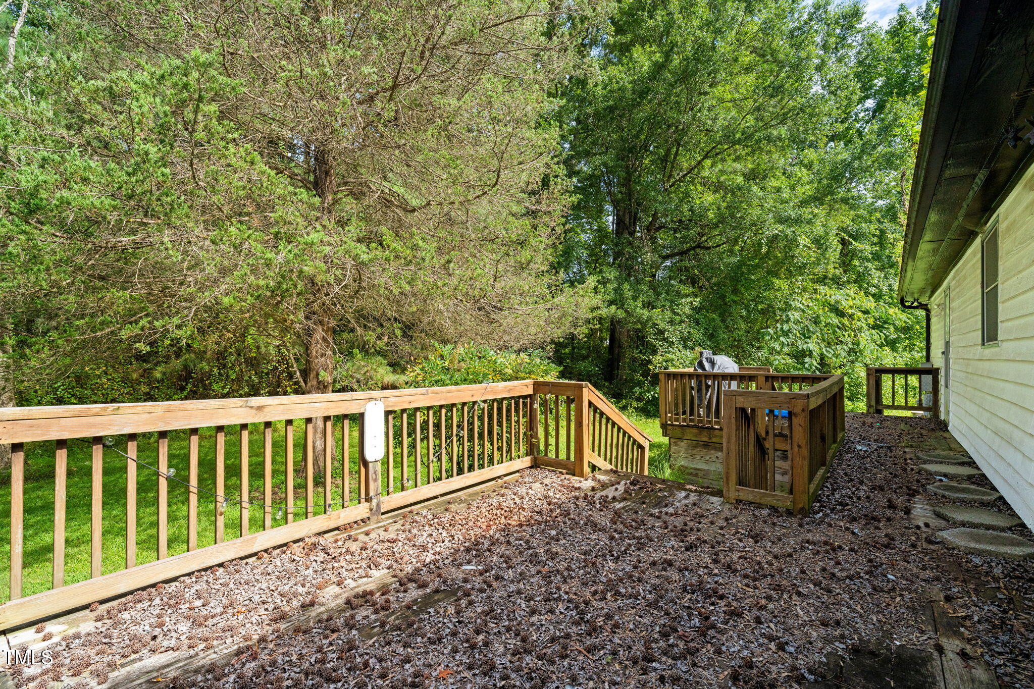 720 Division Street Norlina, NC 27563 - Photo 24 of 38 a view of backyard with green space
