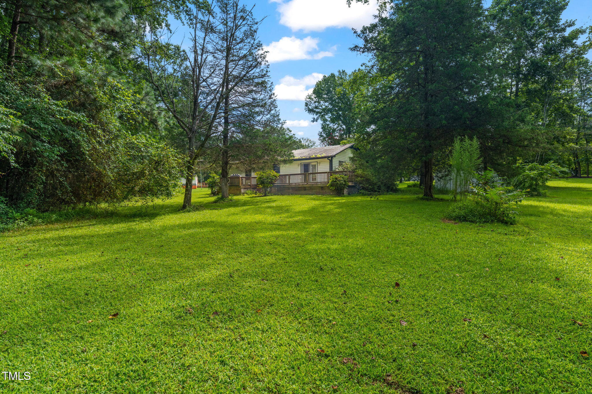720 Division Street Norlina, NC 27563 - Photo 29 of 38 a view of a trees with a big yard