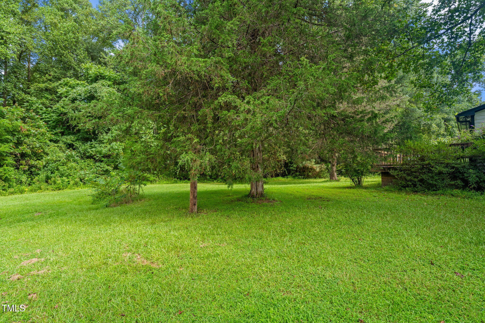 720 Division Street Norlina, NC 27563 - Photo 30 of 38 a green field with lots of trees