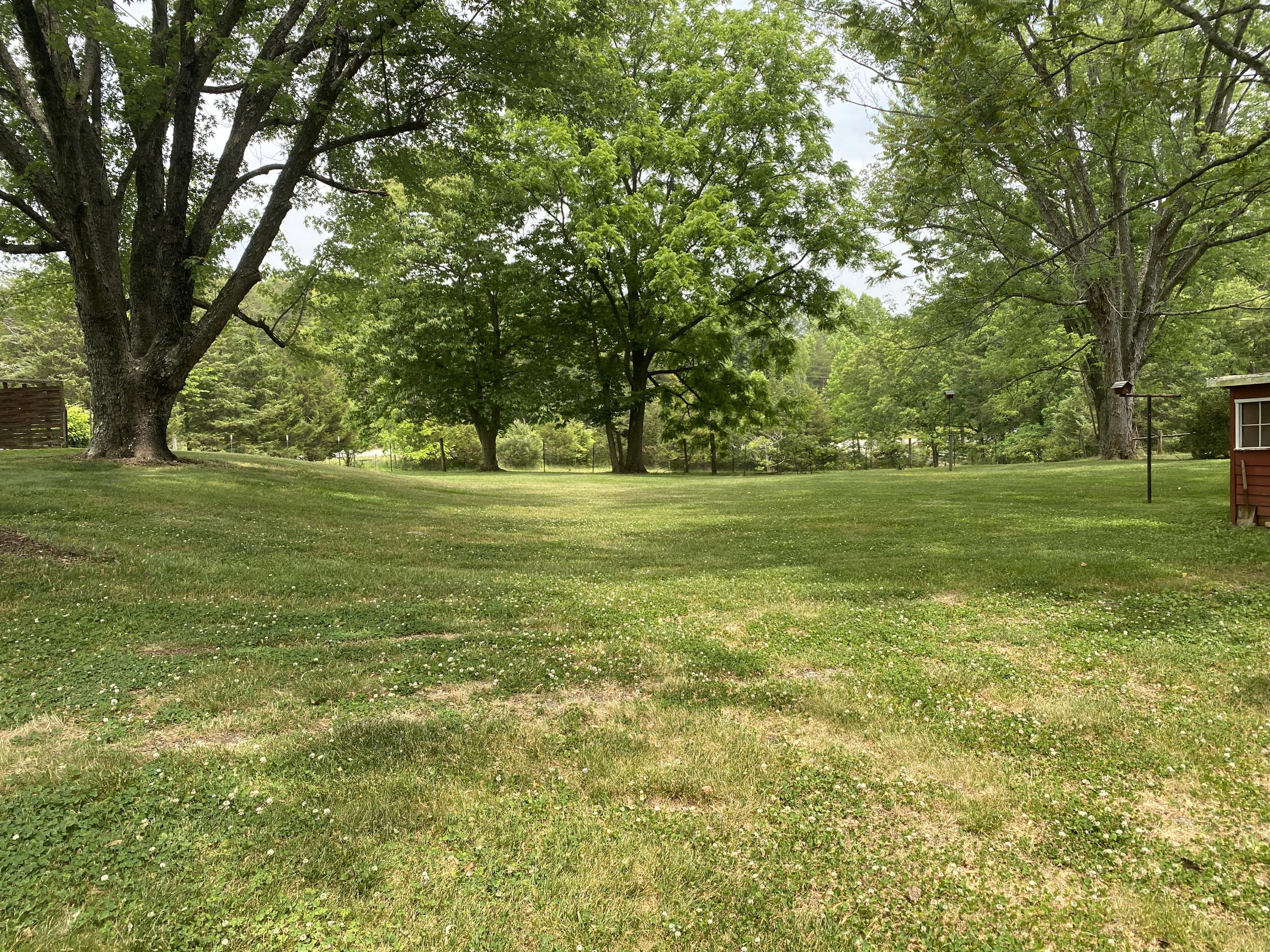 2407 White House Road Moneta, VA 24121 - Photo 21 of 52 a view of a big yard with large trees