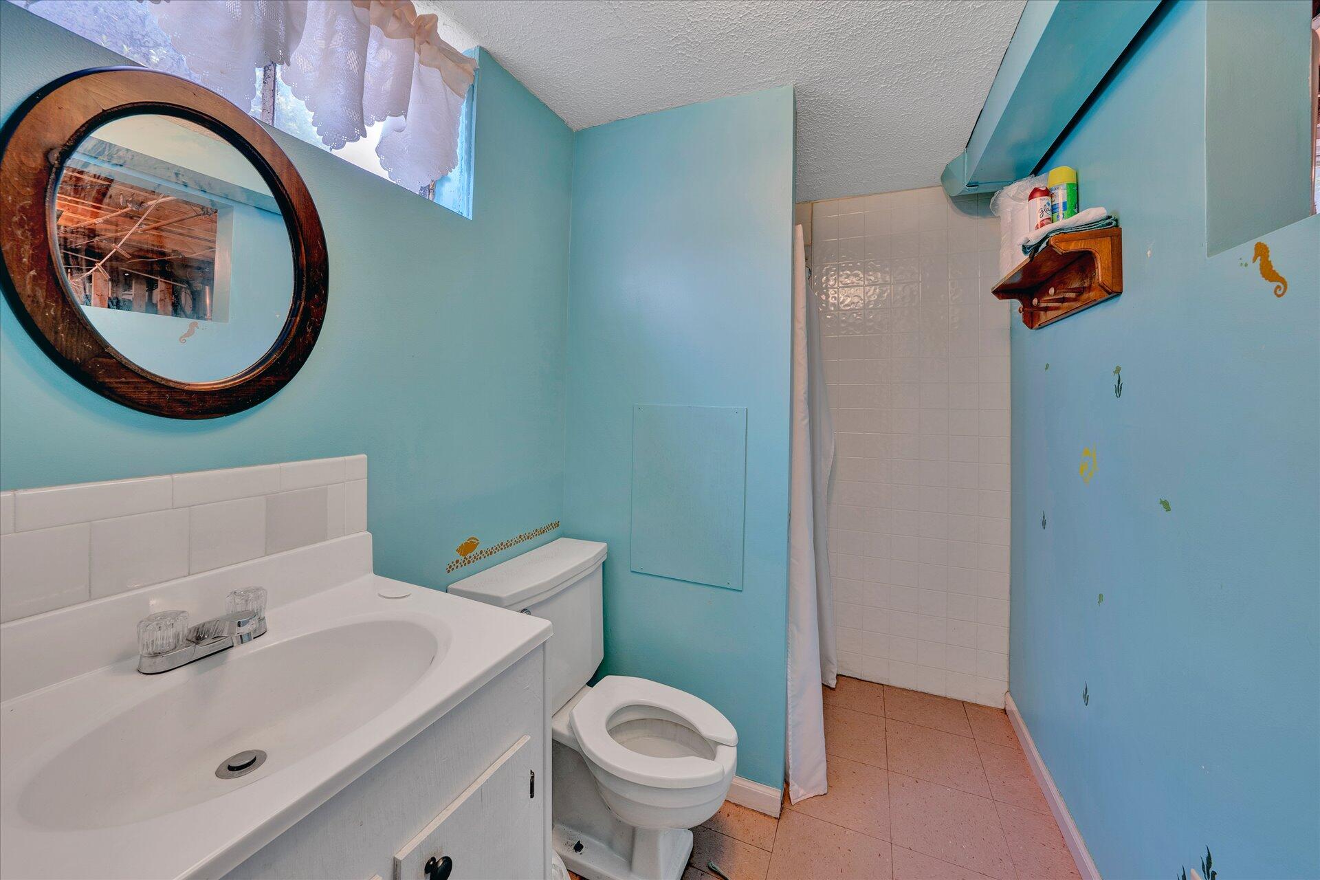 2407 White House Road Moneta, VA 24121 - Photo 26 of 52 a bathroom with a toilet a sink and a mirror