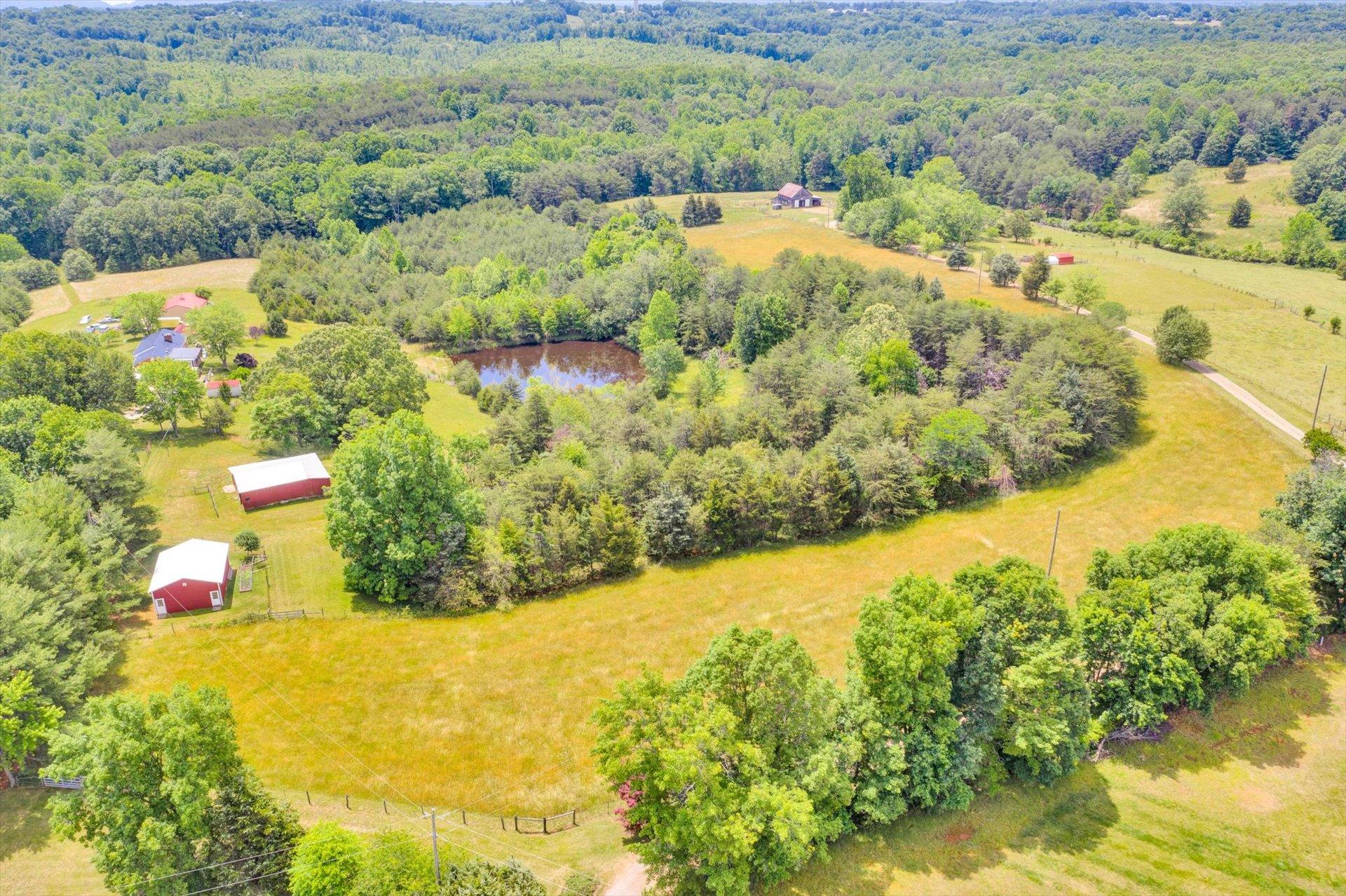 2407 White House Road Moneta, VA 24121 - Photo 39 of 52 a view of a yard with plants