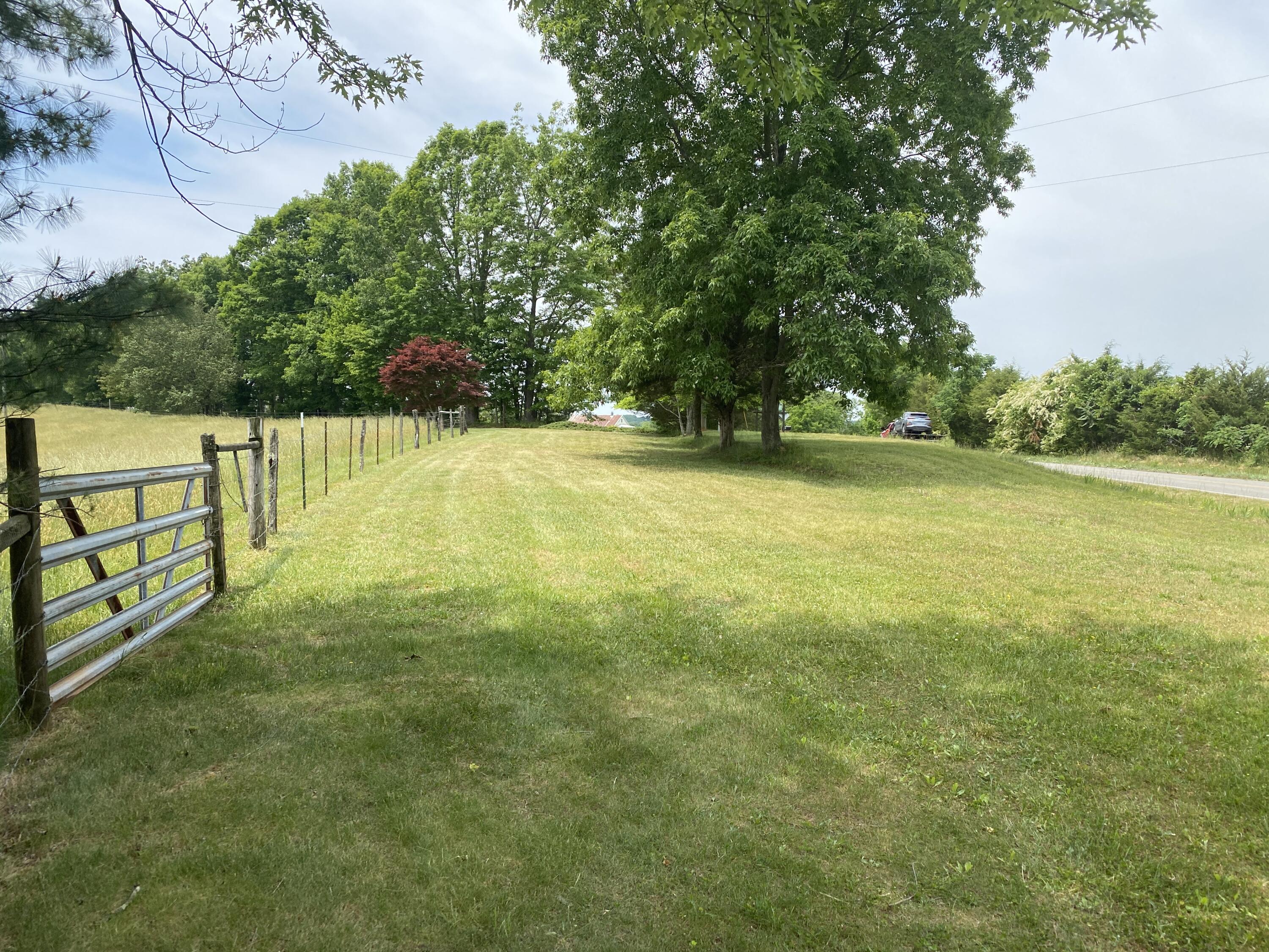 2407 White House Road Moneta, VA 24121 - Photo 44 of 52 a view of a yard with a large trees