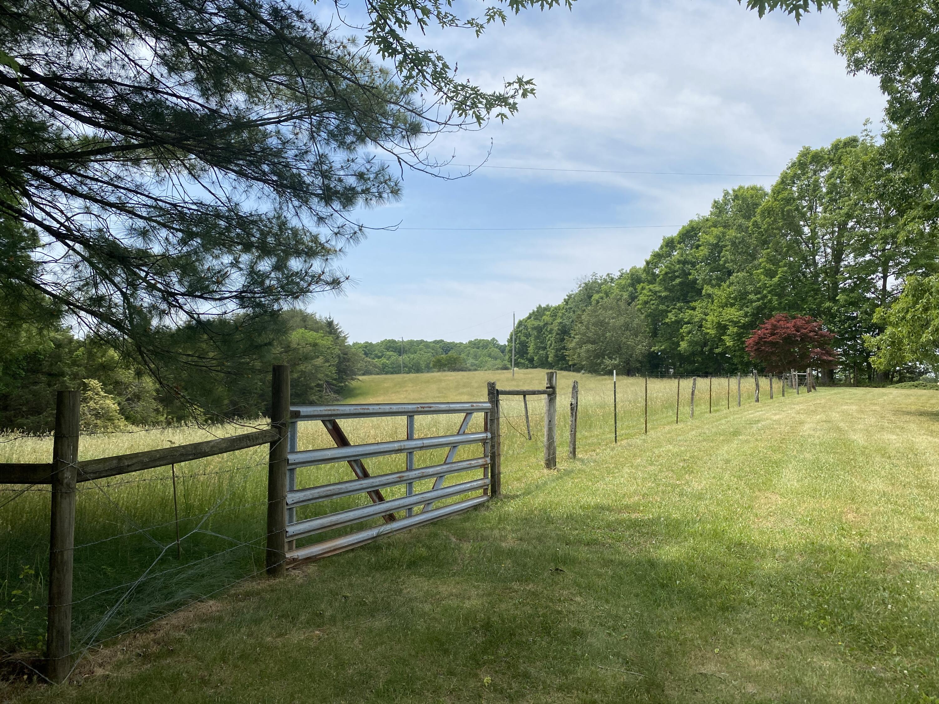 2407 White House Road Moneta, VA 24121 - Photo 45 of 52 a view of outdoor space and yard