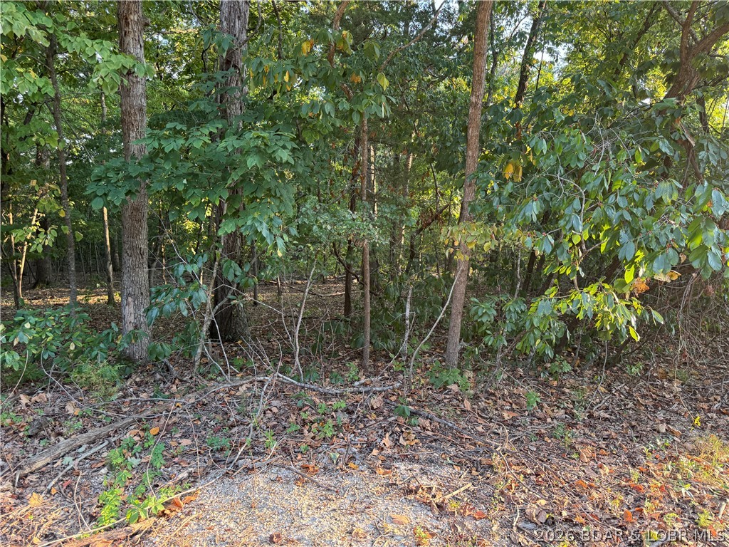 Tbd Point Charles Road Sunrise Beach, MO 65079 - Photo 42 of 65 Gallery Image 42