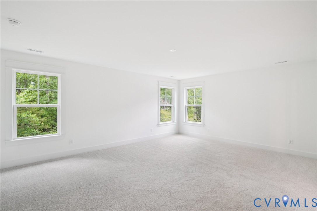 4013 Robins Ridge Drive Moseley, VA 23120 - Photo 12 of 28