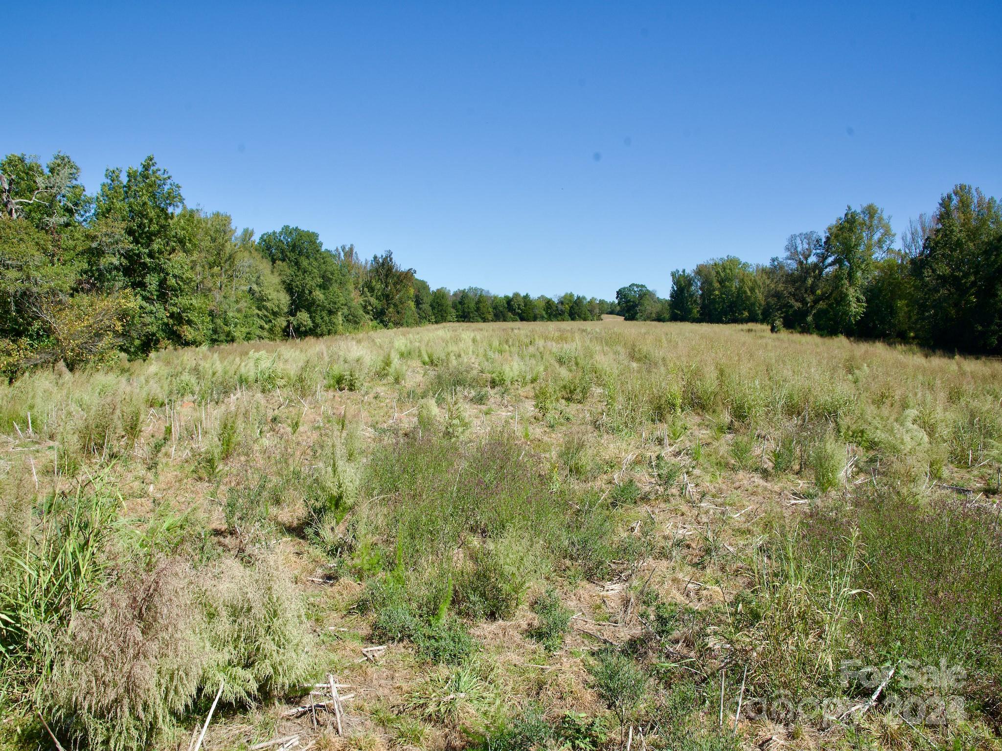 0 Lowrys Road Gaffney, SC 29340 - Photo 16 of 46 Gallery Image 16