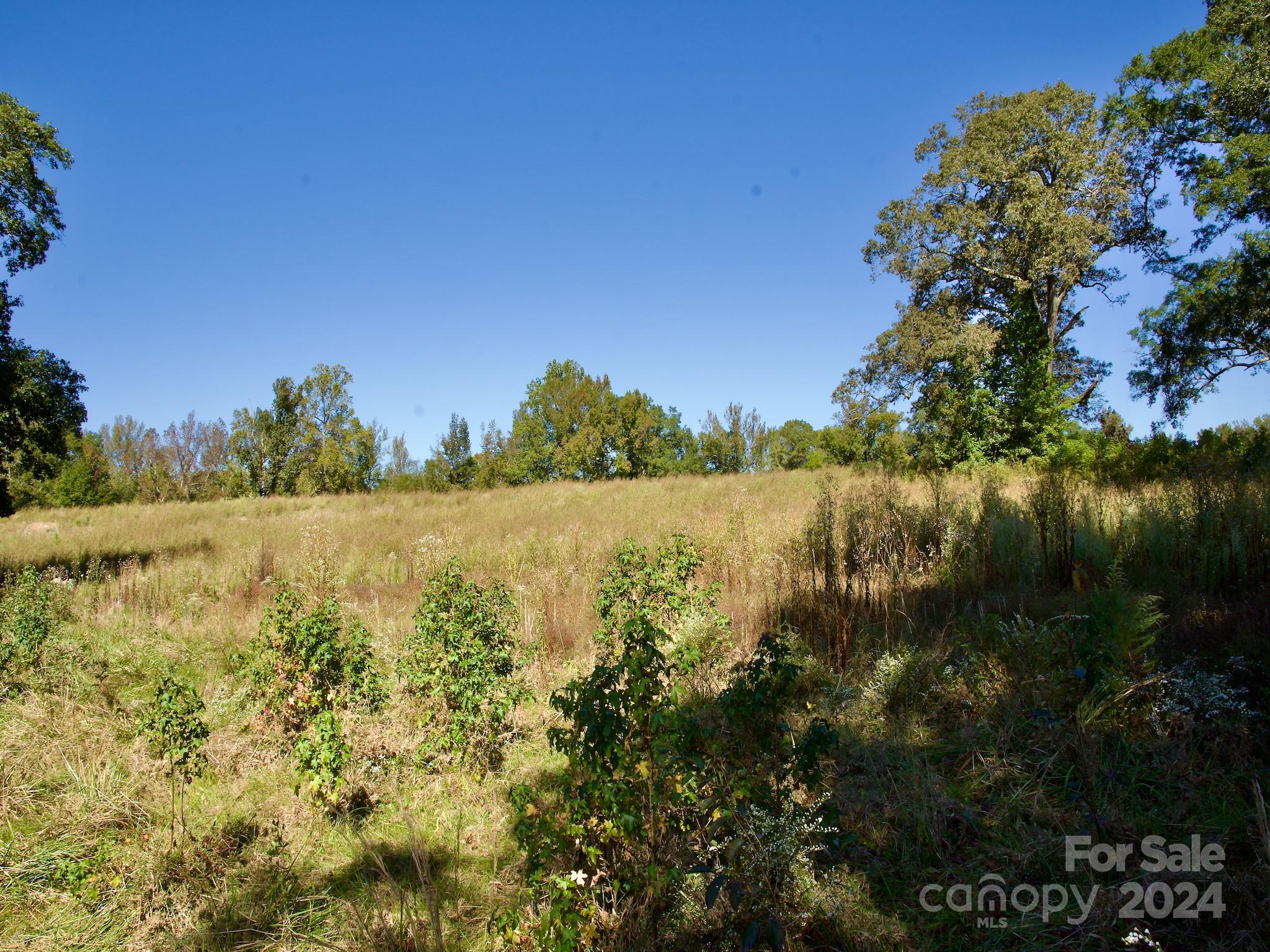 0 Lowrys Road Gaffney, SC 29340 - Photo 20 of 46 Gallery Image 20