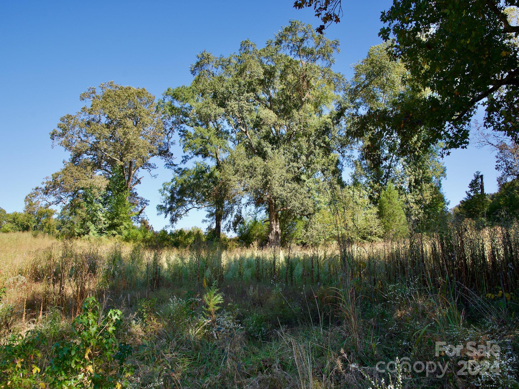 0 Lowrys Road Gaffney, SC 29340 - Photo 24 of 46 Gallery Image 24