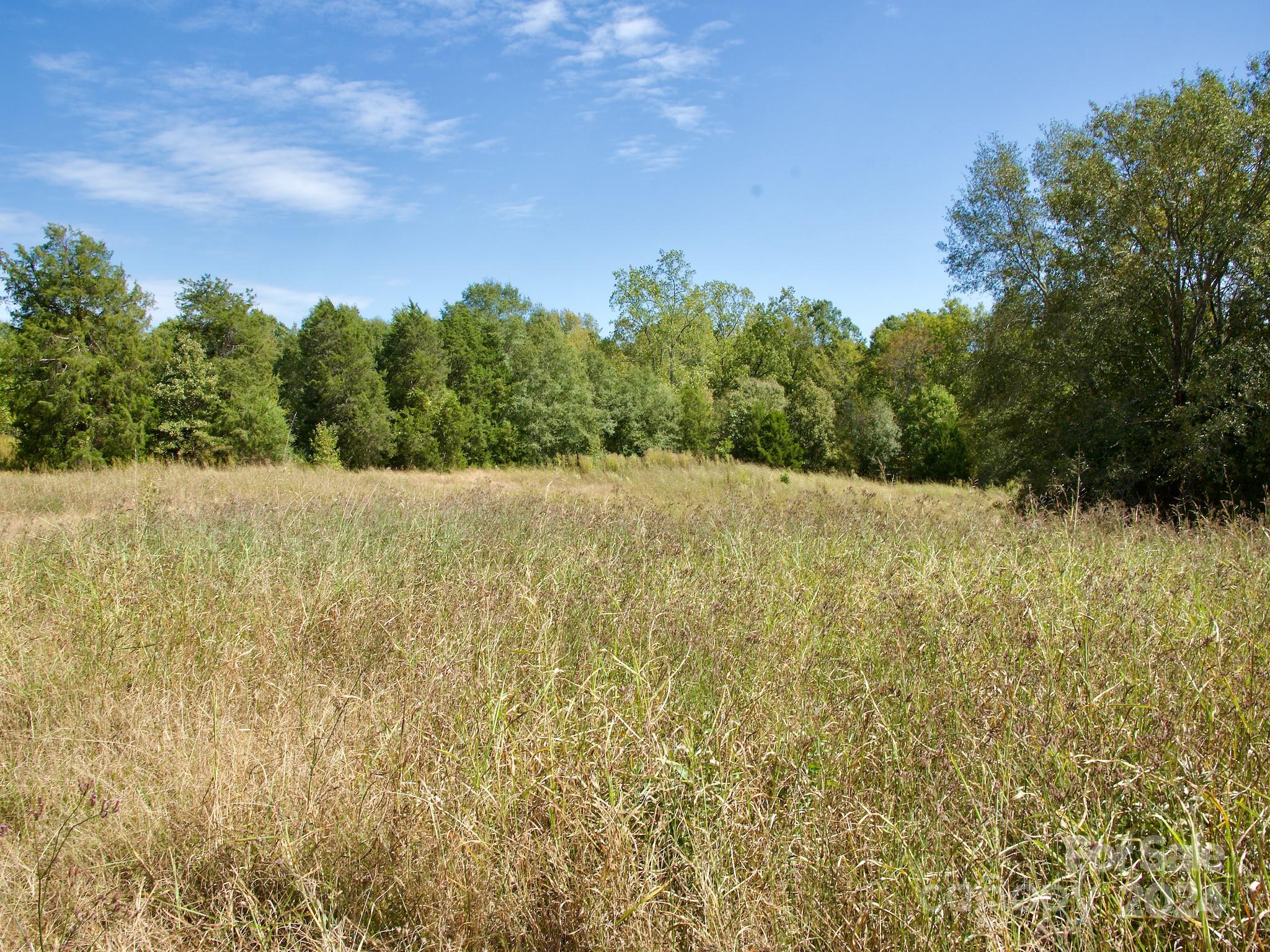 0 Lowrys Road Gaffney, SC 29340 - Photo 42 of 46 Gallery Image 42