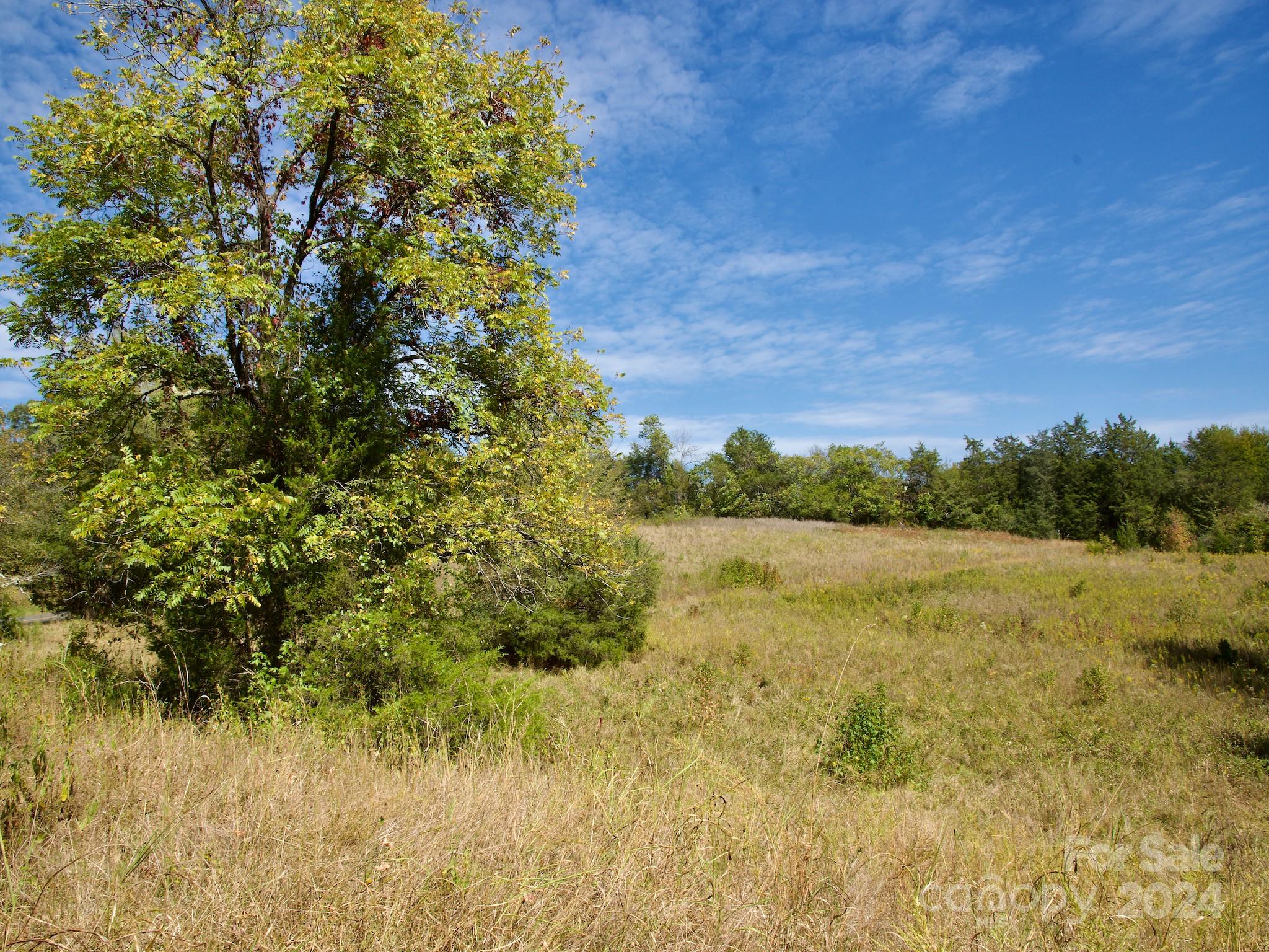 0 Lowrys Road Gaffney, SC 29340 - Photo 45 of 46 Gallery Image 45