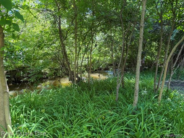 5135 Iron Gate Road Bloomfield Hills, MI 48304 - Photo 3 of 18