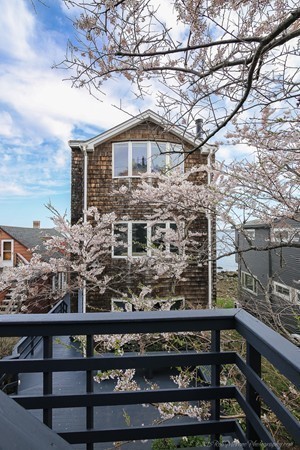 176 Wilson Road Nahant, MA 01908 - Photo 30 of 30 Gallery Image 30