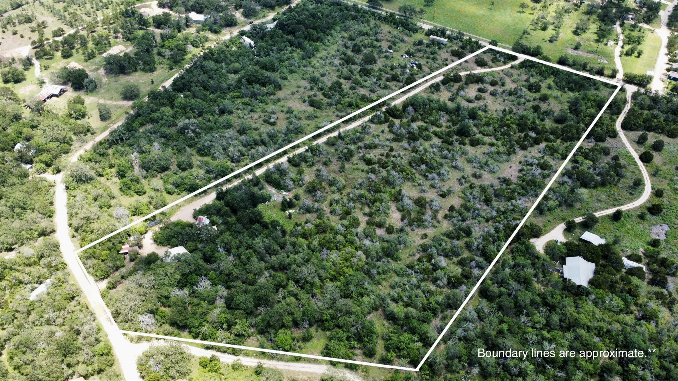 1998 Upper Elgin River Road Elgin, TX 78621 - Photo 25 of 28 a picture of a tree with a plant in the background