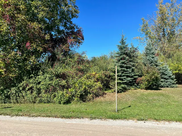$36,000 | Lot 108 Stella Street, Custer, MI 49405