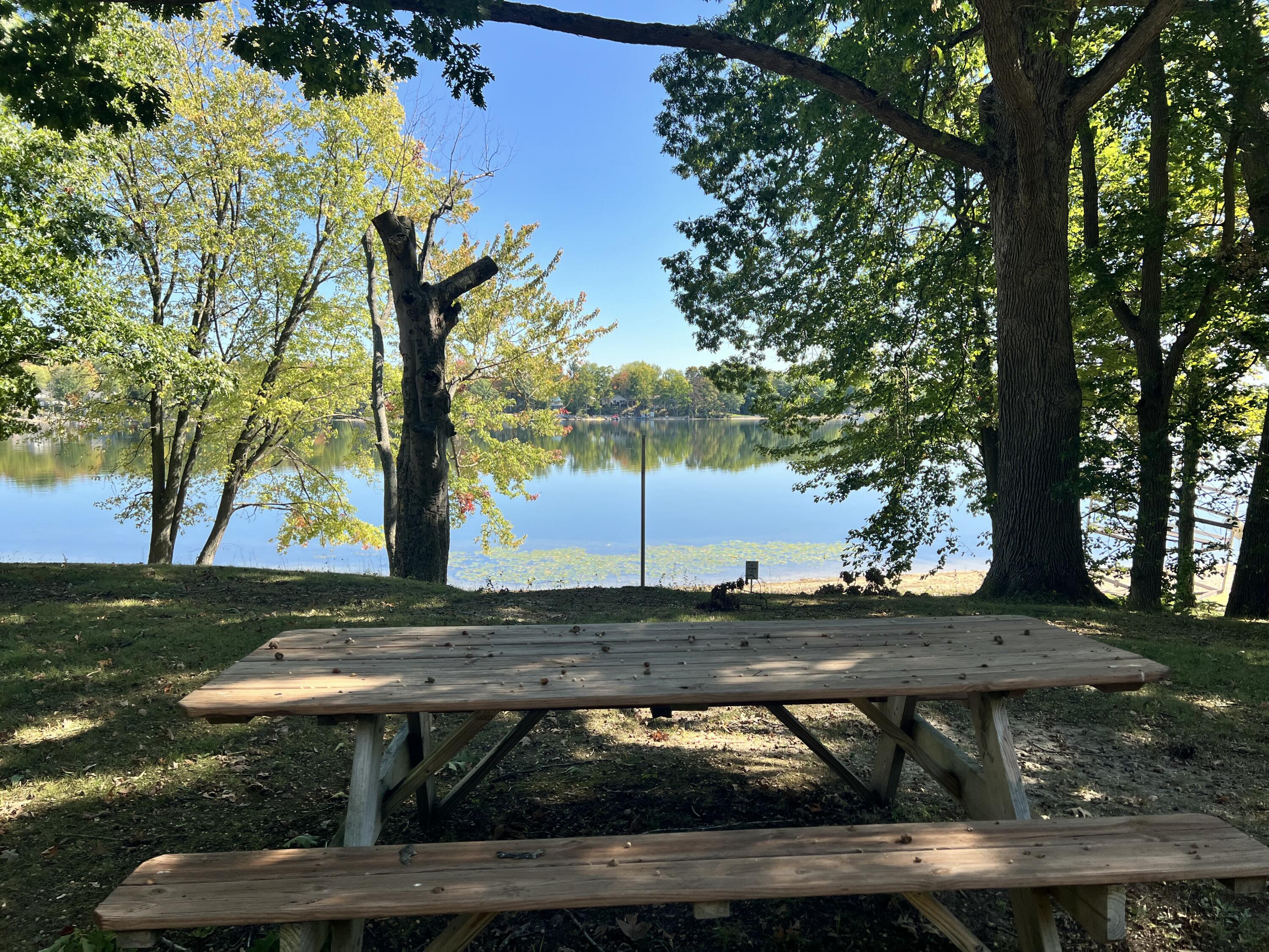 Lot 108 Stella Street Custer, MI 49405 - Photo 12 of 19 IMG_6555