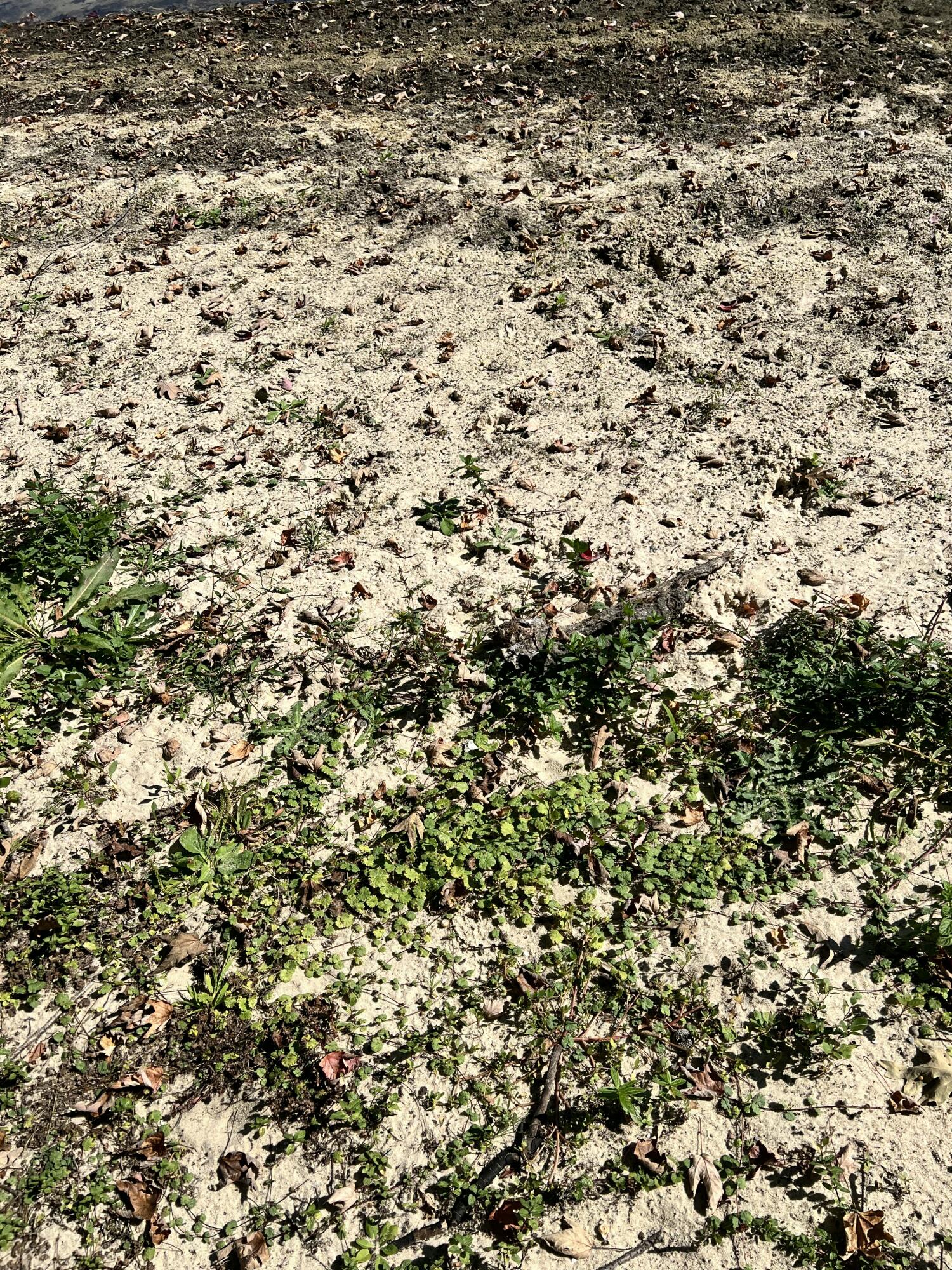 Lot 108 Stella Street Custer, MI 49405 - Photo 14 of 19 IMG_6558