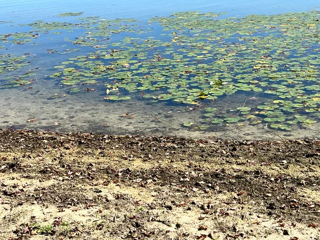 $36,000 | Lot 108 Stella Street, Custer, MI 49405