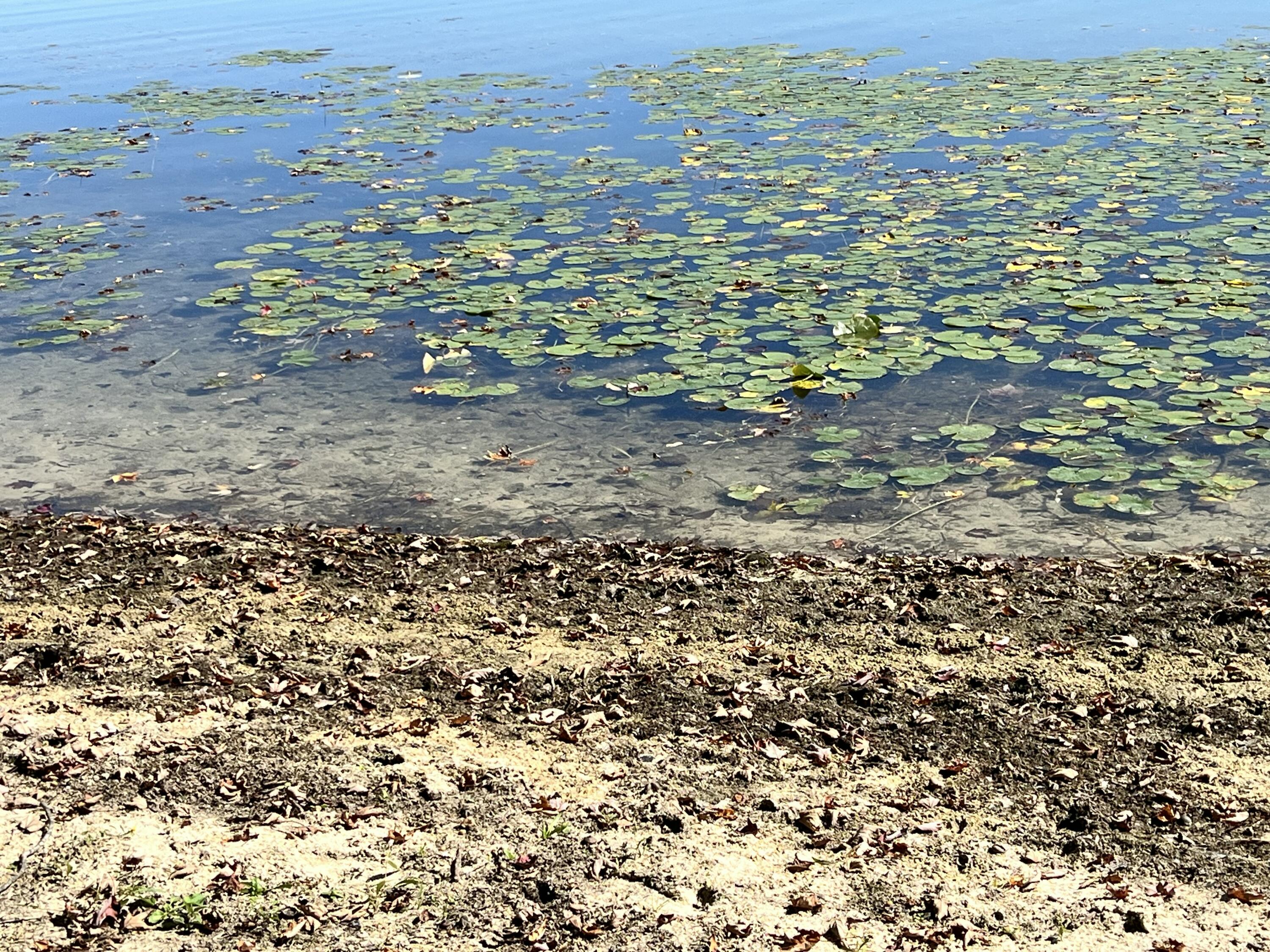 Lot 108 Stella Street Custer, MI 49405 - Photo 19 of 19 IMG_6559