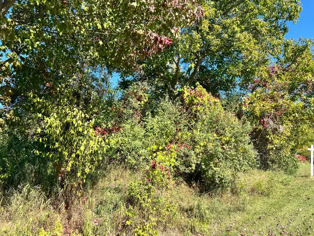 $36,000 | Lot 108 Stella Street, Custer, MI 49405