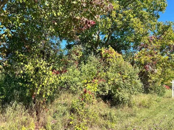 $35,000 | Lot 108 Stella Street, Custer, MI 49405