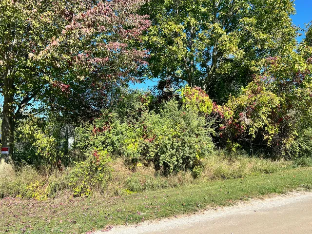 $36,000 | Lot 108 Stella Street, Custer, MI 49405