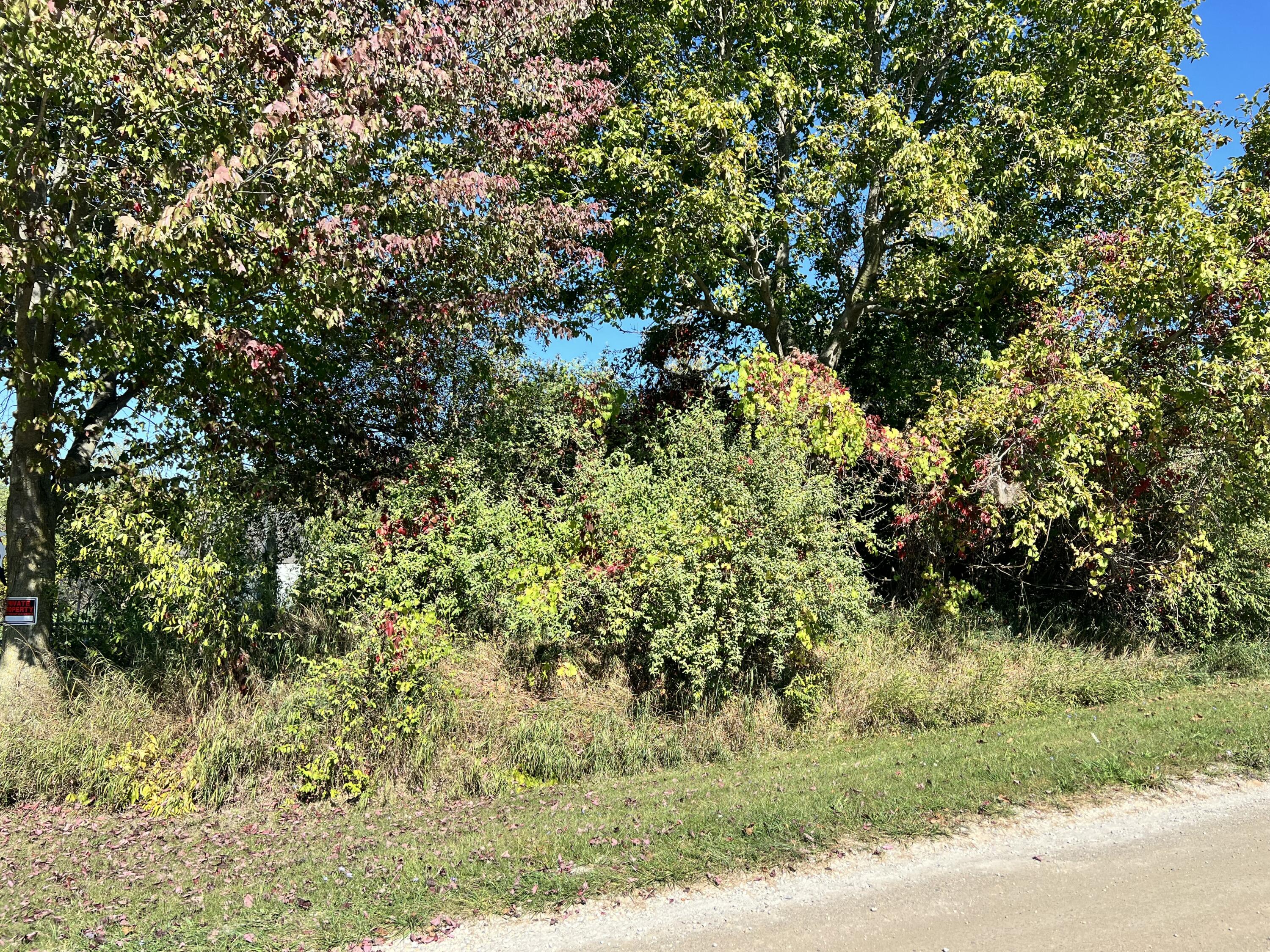 Lot 108 Stella Street Custer, MI 49405 - Photo 9 of 19 IMG_6565