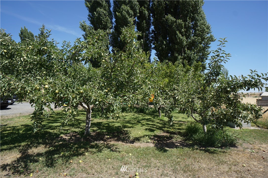 9136 Nw Road Ephrata, WA 98823 - Photo 14 of 18