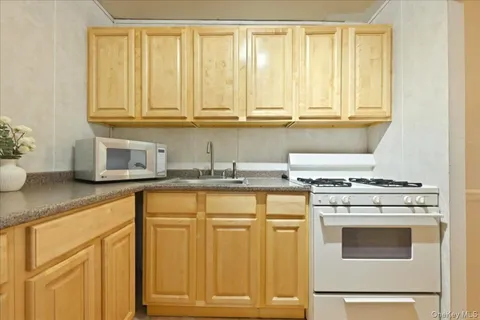$265,000 | 101 Lincoln Avenue, Unit 4K, Mineola, NY 11501