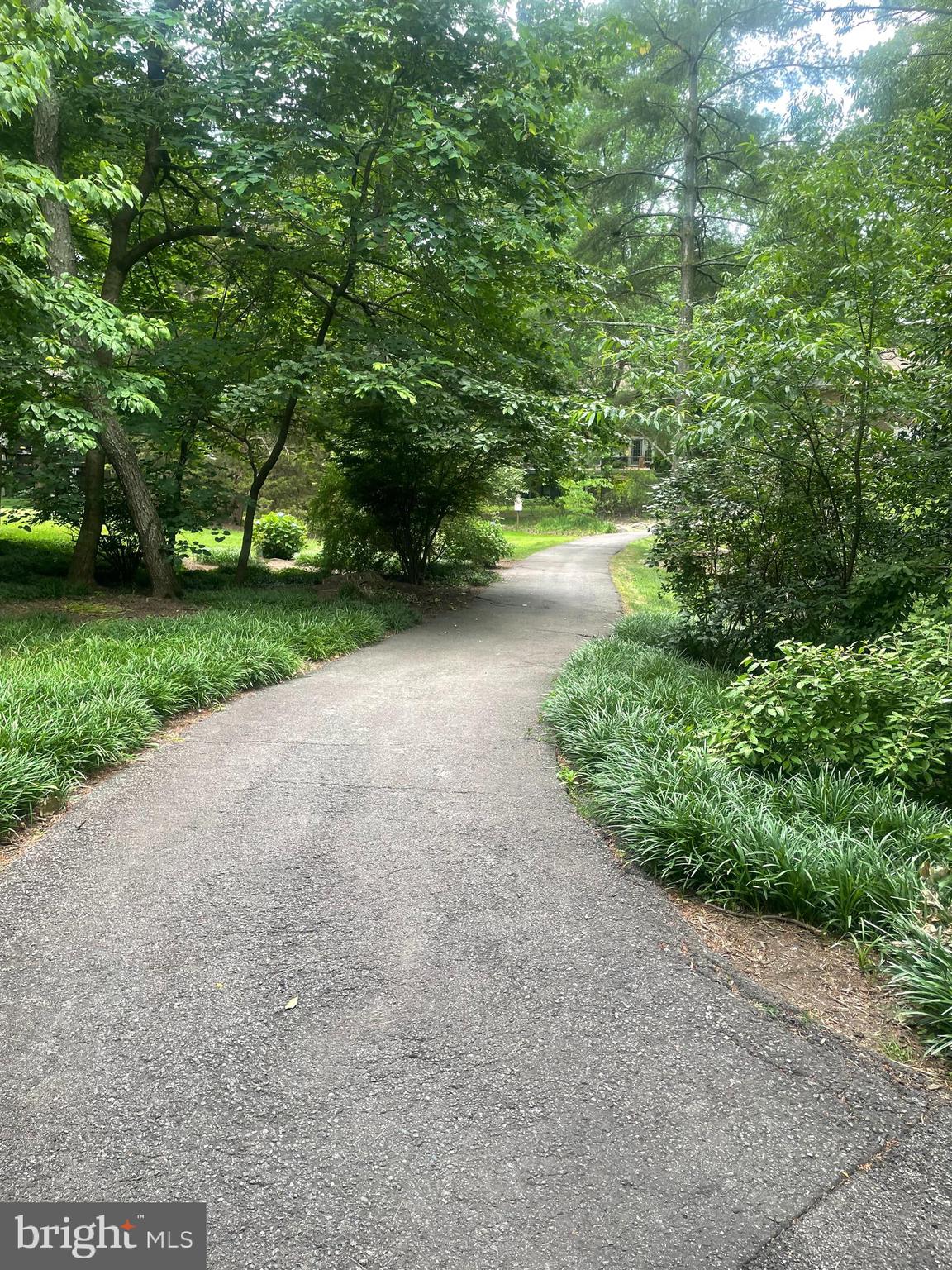 2192 Golf Course Drive Reston, VA 20191 - Photo 52 of 125 a view of a street with a yard and large trees