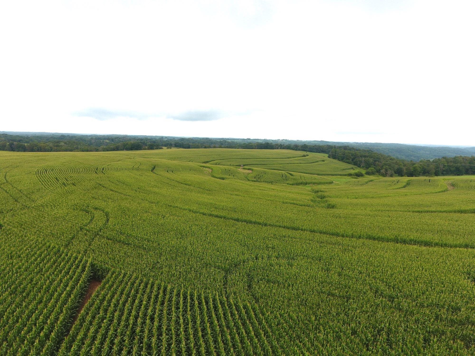 126.75-acres Booth Viola, WI 54664 - Photo 2 of 8