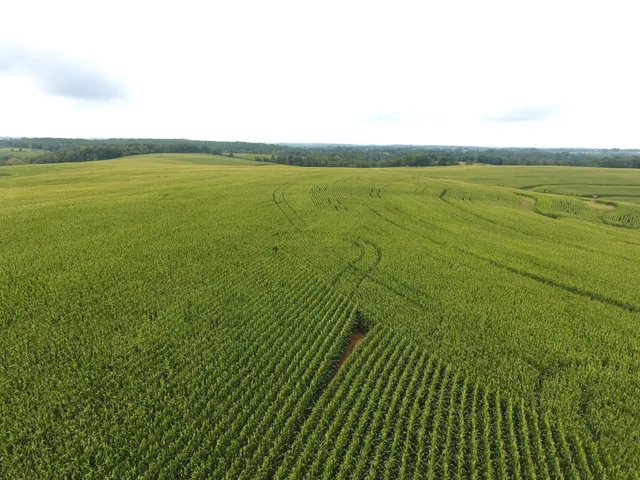 $939,000 | 126.75-acres 126.75-acres Booth, Viola, WI 54664