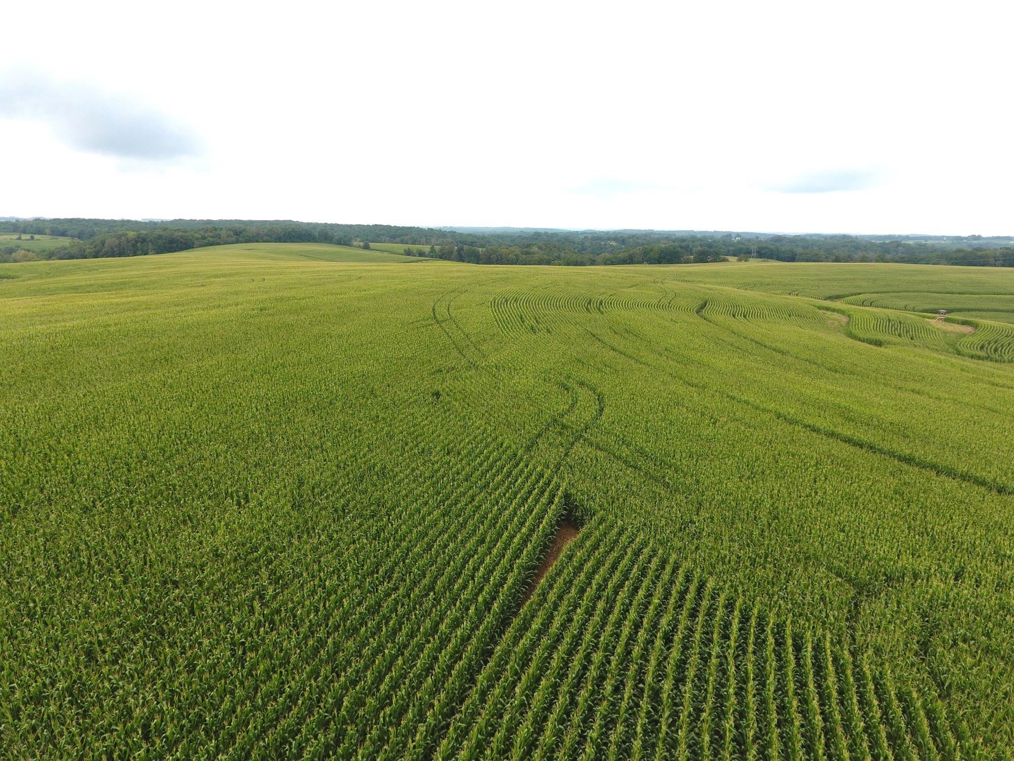 126.75-acres Booth Viola, WI 54664 - Photo 3 of 8